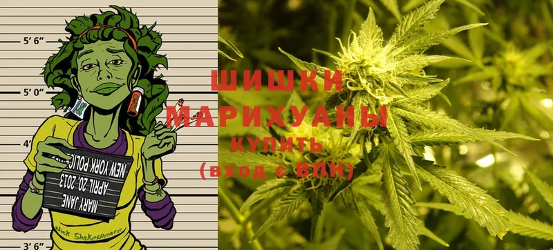 маркетплейс клад  Чкаловск  Бошки марихуана White Widow  купить  сайты  гидра онион 